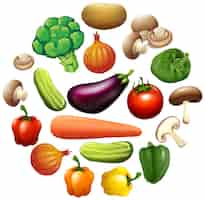 Vecteur gratuit différents types de légumes