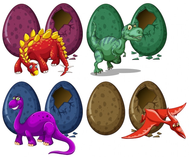 Dinosaures, Incubation, Oeufs, Blanc, Fond, Illustration