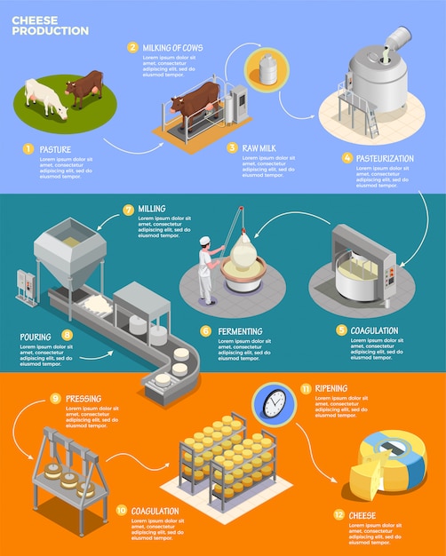 Vecteur gratuit disposition d'infographie isométrique de production de fromage avec onze phases de préparation de fromage à partir de lait cru