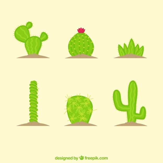 Vecteur gratuit divers cactus dessinés à la main