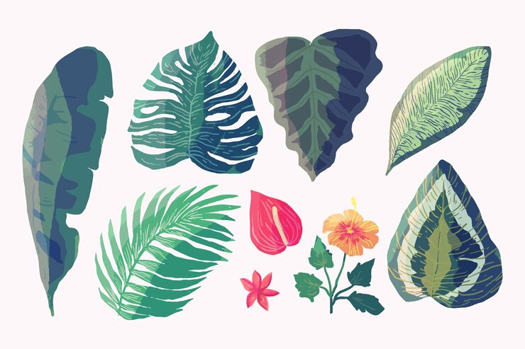 Vecteur gratuit diverses feuilles et fleurs tropicales