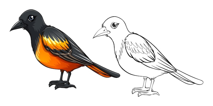 Vecteur gratuit doodle animal pour oiseau