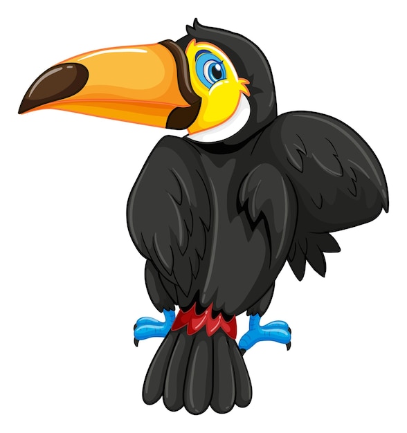 Dos D'oiseau Toucan