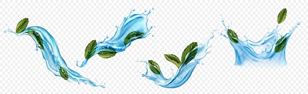 L'eau éclabousse avec des feuilles de menthol ou de menthe