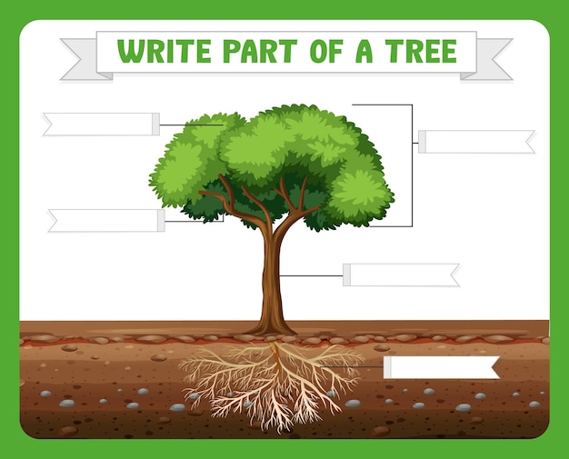 Vecteur gratuit Écrire des parties d'une feuille de travail d'arbre pour les enfants