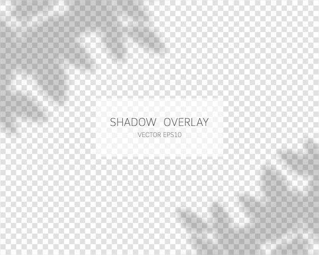 Effet de superposition d'ombre ombres naturelles isolées sur fond transparent illustration vectorielle