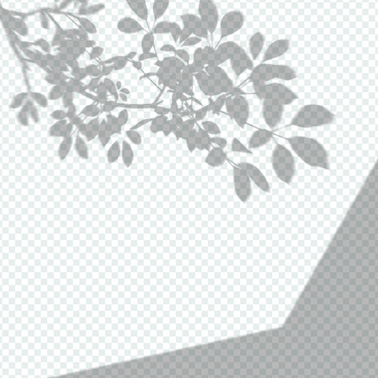 Vecteur gratuit effet de superposition d'ombres transparentes