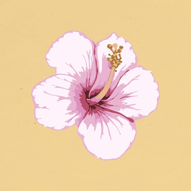 Vecteur gratuit Élément de conception de fleur d'hibiscus rose vectorisé