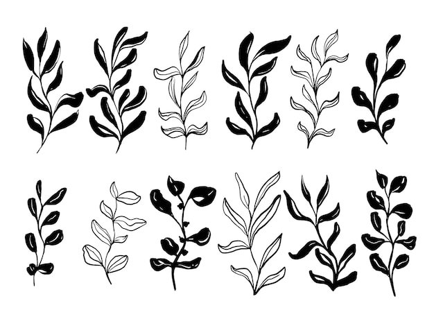 Éléments décoratifs de feuilles florales dessinés à la main line art doodle