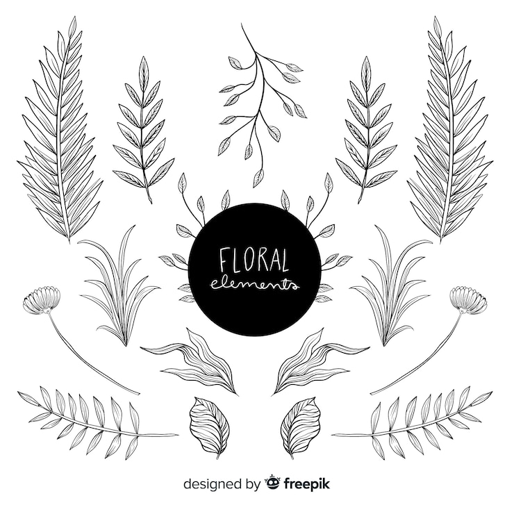 Vecteur gratuit éléments de décoration florale dessinés à la main