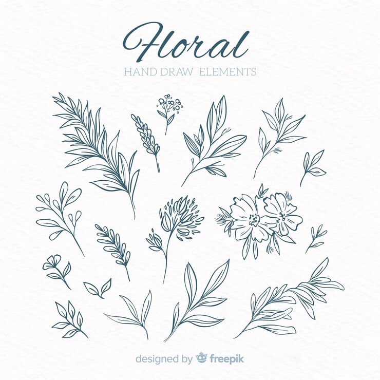 Vecteur gratuit éléments de décoration floraux dessinés à la main