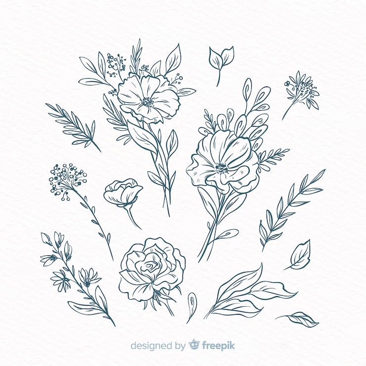 Vecteur gratuit éléments de décoration floraux dessinés à la main