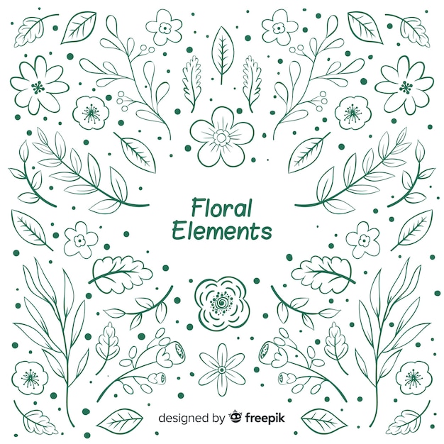 Vecteur gratuit Éléments de décoration floraux incolores dessinés à la main