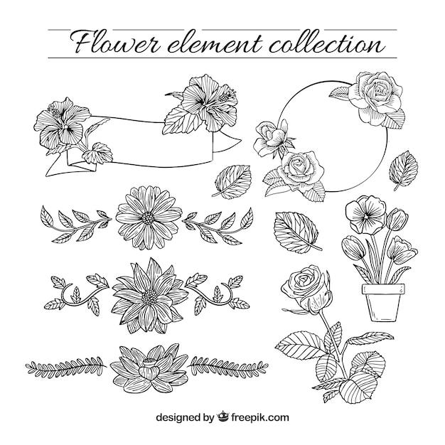 Vecteur gratuit Éléments floraux dessinés à la main avec un style fragmentaire