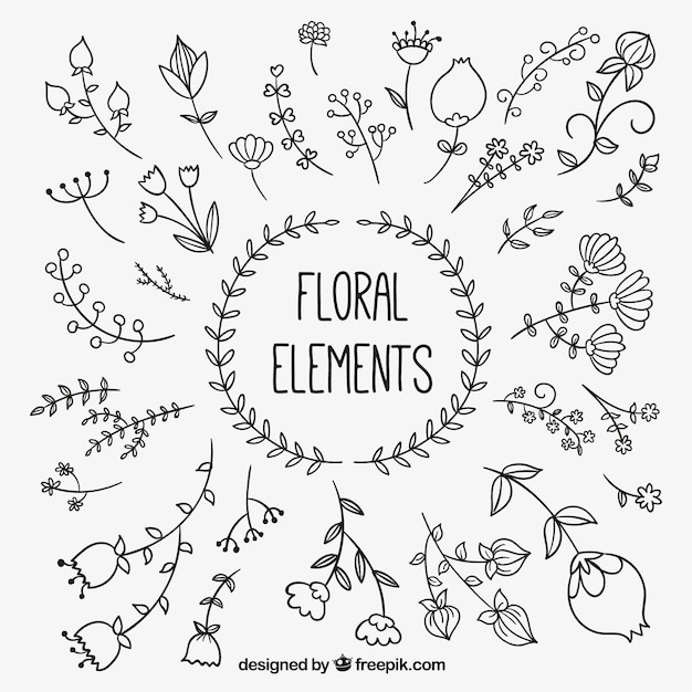 Vecteur gratuit Éléments floraux dessinés à la main