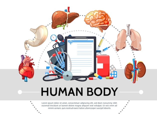 Vecteur gratuit Éléments de soins de santé de dessin animé concept rond avec des organes internes humains comprimés presse-papiers kit médical stéthoscope
