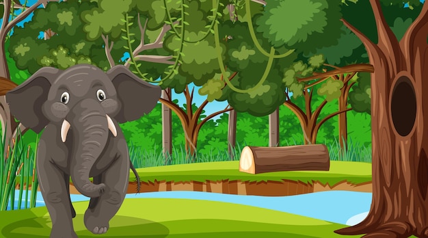 Un éléphant dans une scène de forêt avec de nombreux arbres