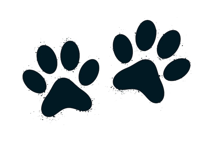 Vecteur gratuit empreinte de patte d'animal sur fond blanc
