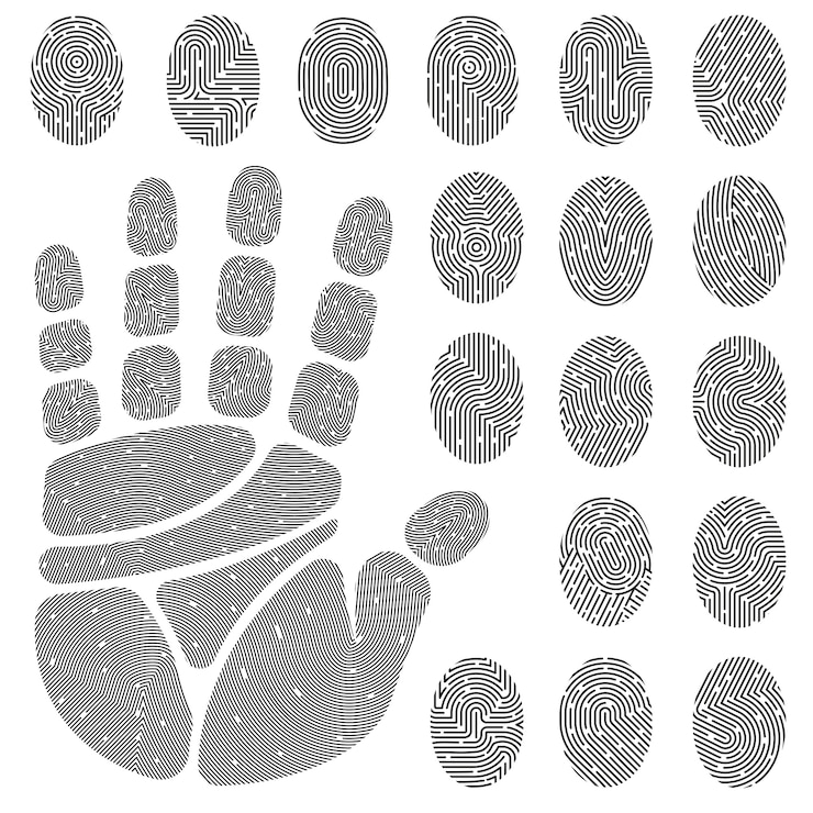 Vecteur gratuit empreintes de doigts et paume set