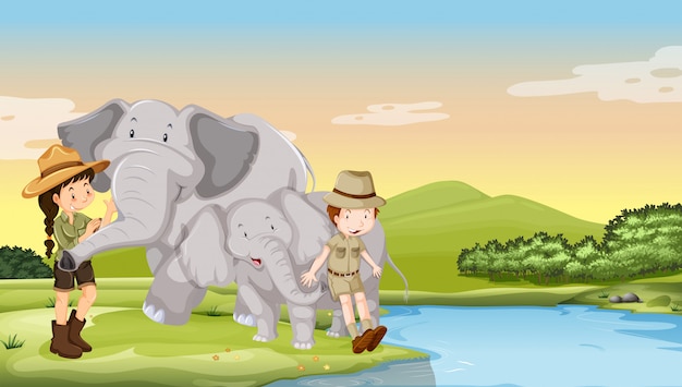 Enfants Et éléphants Au Bord De La Rivière