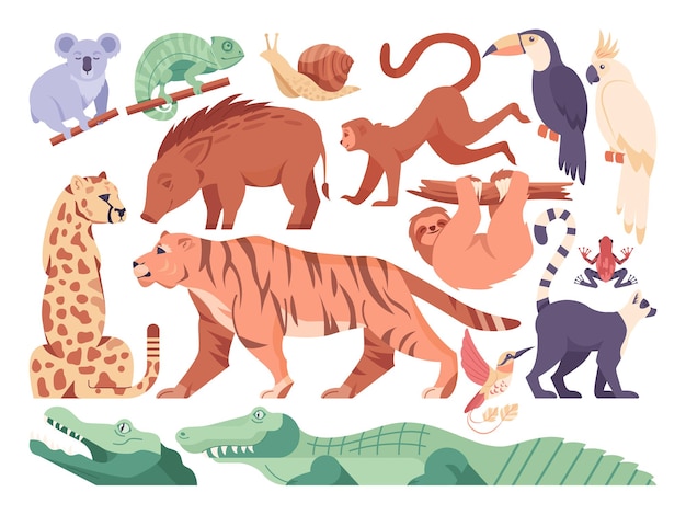 Ensemble d'animaux exotiques. collection d'animaux exotiques et sauvages. créatures de la jungle. tigre, guépard, aligator et singe. illustration vectorielle plane