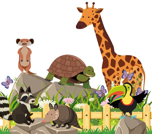 cerf d amérique en 6 lettres