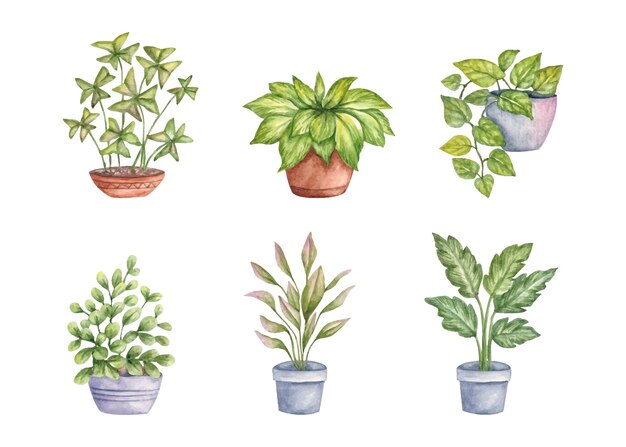 Ensemble aquarelle de plantes d'intérieur d'intérieur