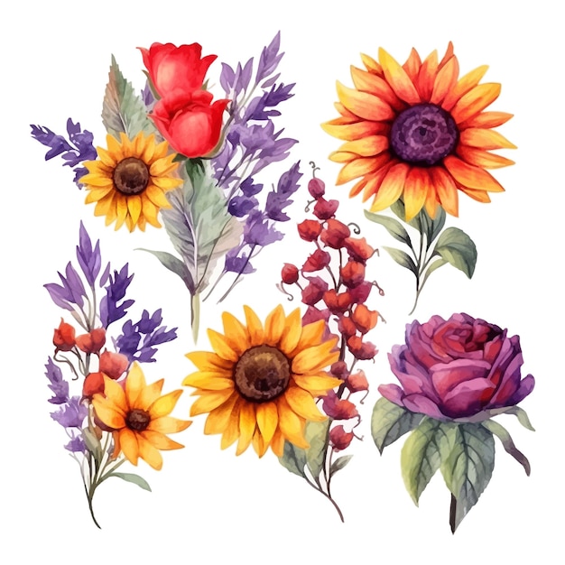 Vecteur gratuit ensemble d'aquarelle tournesol lavande anémones rouges fleurs colorées