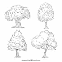 Vecteur gratuit ensemble d'arbres dans le style dessiné à la main