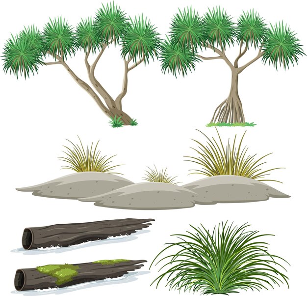 Ensemble d'arbres isolés et d'objets de la nature