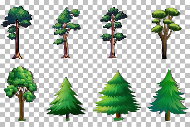 Vecteur gratuit ensemble d'arbres de variété sur fond transparent