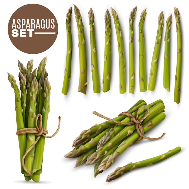 Vecteur gratuit ensemble d'asperges fraîches et tendres