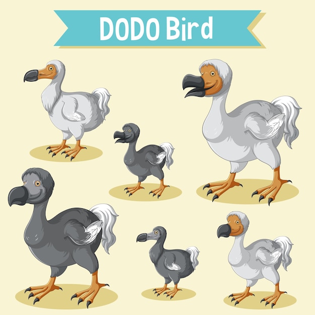 Vecteur gratuit ensemble d'autocollant de dessin animé dodo oiseau