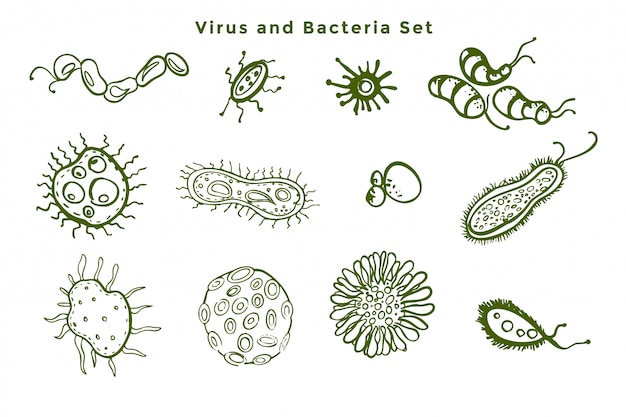 Vecteur gratuit ensemble de bactéries microscopiques et de germes viraux