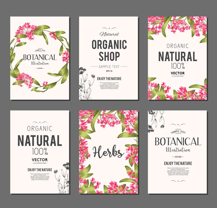 Ensemble de bannières de plantes et d'herbes. Elément de design ou carte d'invitation