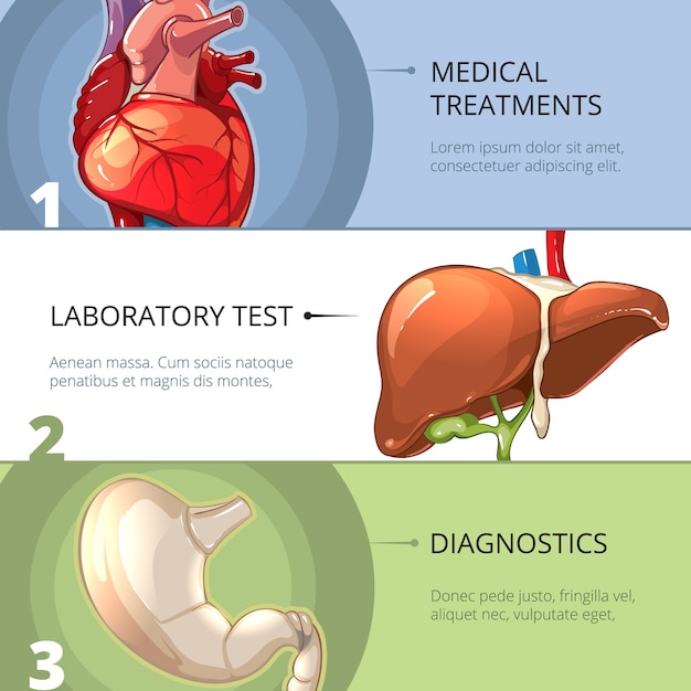 Ensemble de bannières vectorielles de soins de santé médicaux. Médecine santé, science, technologie clinique, illustration de service d'aide