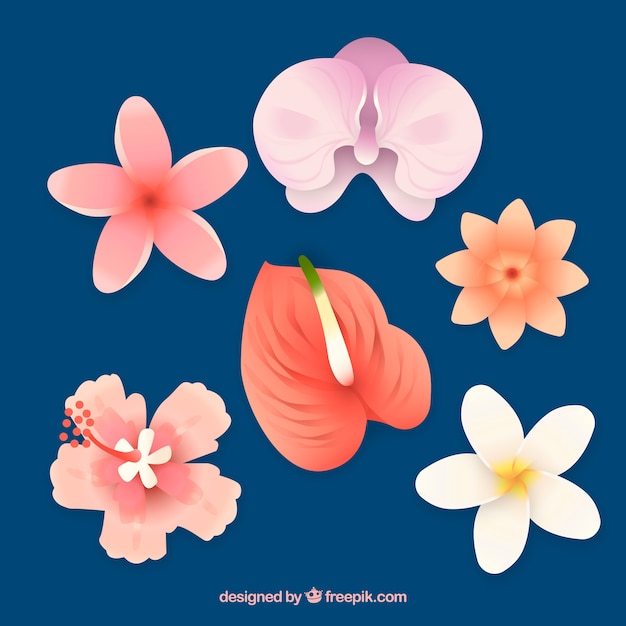 Vecteur gratuit ensemble de belles fleurs tropicales