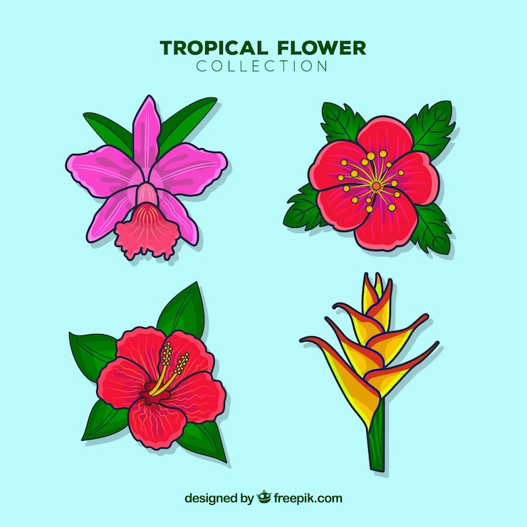 Vecteur gratuit ensemble de belles fleurs tropicales