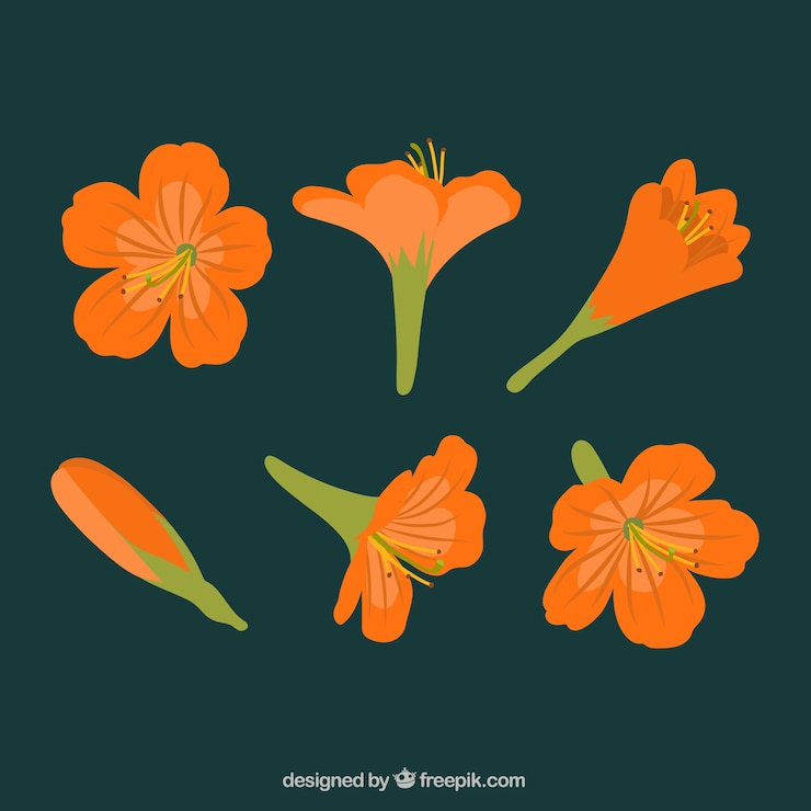 Vecteur gratuit ensemble de belles fleurs tropicales