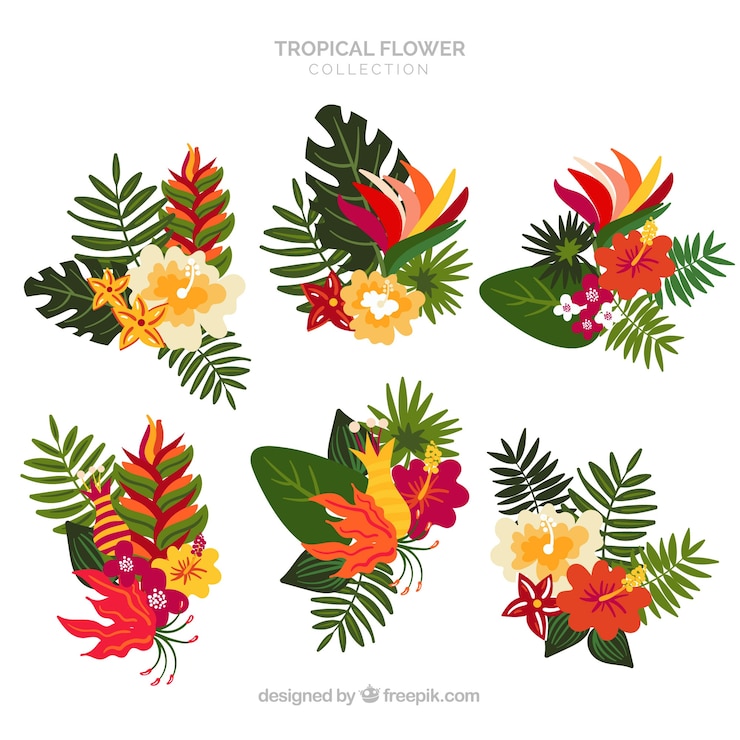 Vecteur gratuit ensemble de belles fleurs tropicales