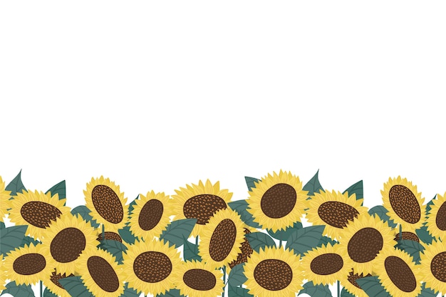 Vecteur gratuit ensemble de bordure de tournesol dessiné à la main