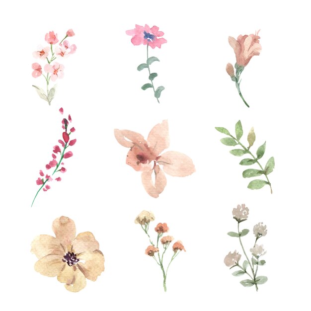 Ensemble de bouton floral aquarelle, illustration dessinée à la main