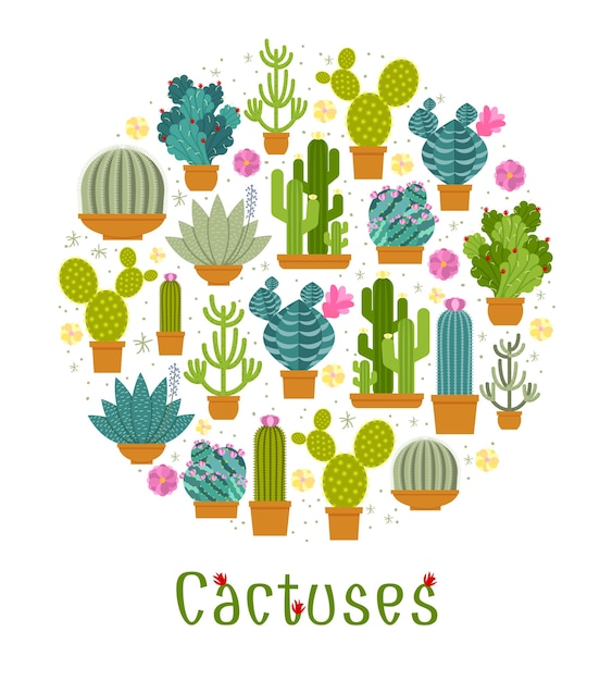 Vecteur gratuit ensemble de cactus