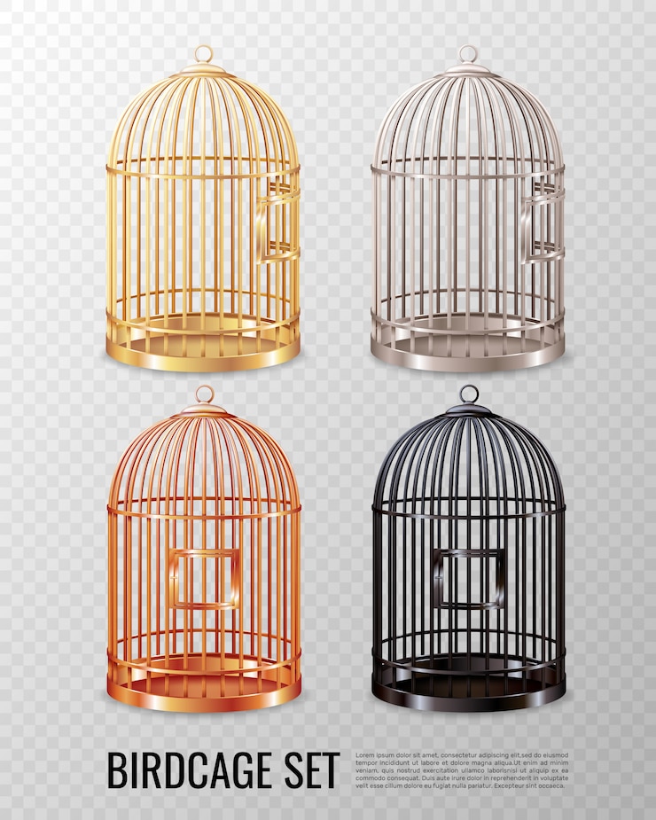 Vecteur gratuit ensemble de cage à oiseaux fermée fermée