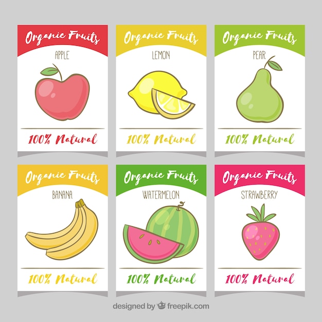 Vecteur gratuit ensemble de cartes à fruits tirées à la main