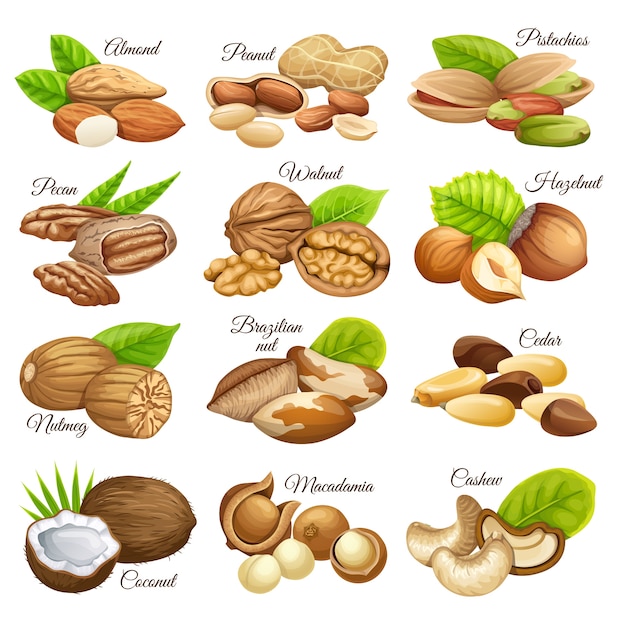 Ensemble de céréales alimentaires de noix.