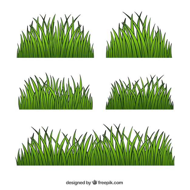 Ensemble De Cinq Frontières D'herbe Dessinés à La Main