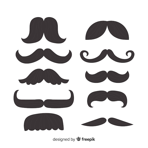 Ensemble classique de moustaches avec un design plat