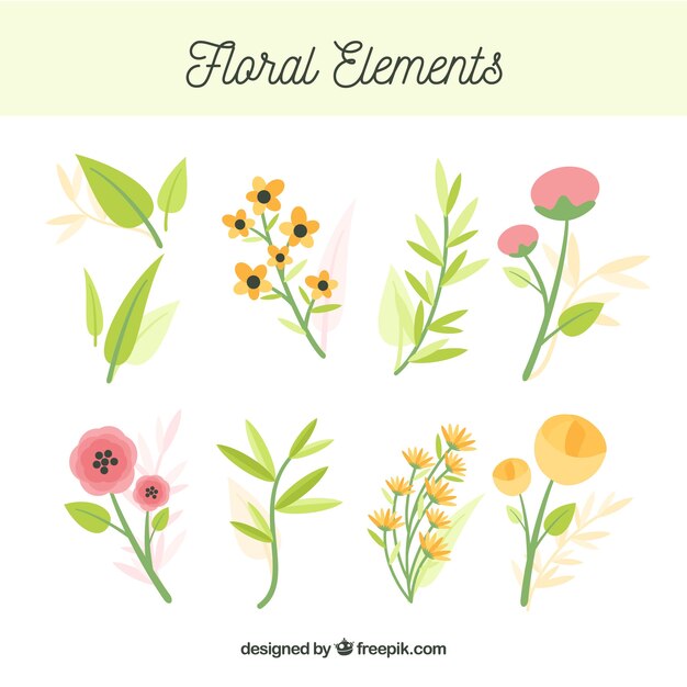 Ensemble coloré d&#39;éléments floraux avec un design plat