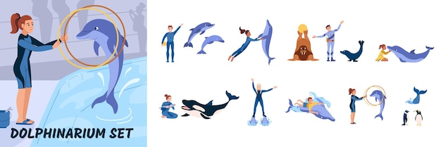 Vecteur gratuit ensemble de composition plate de dauphins phoque lions orques pingouins pendant le spectacle au delphinarium illustration vectorielle isolée